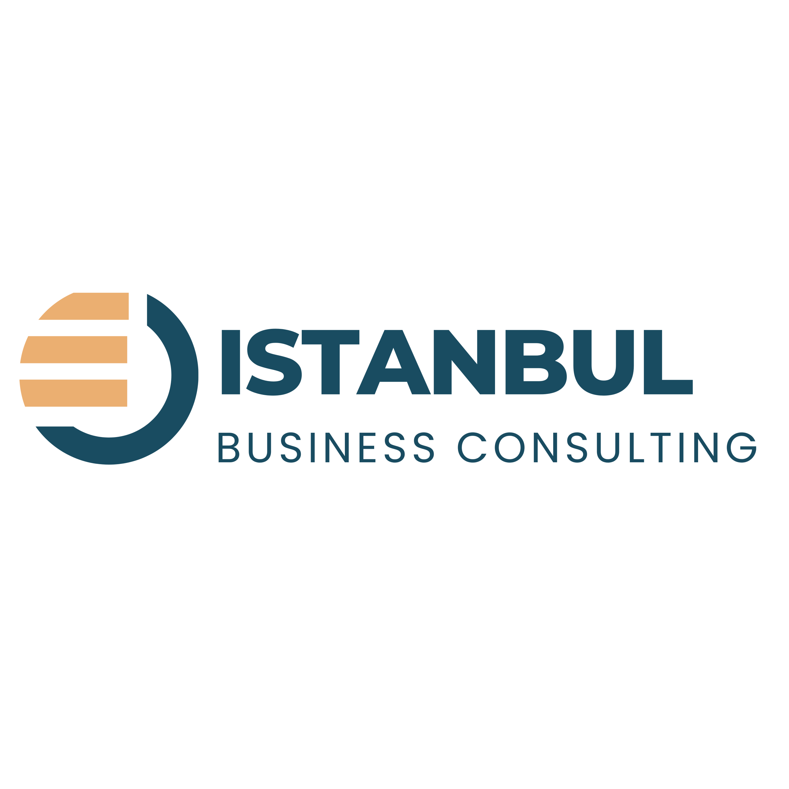 Istanbul Business Consulting